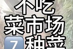 hướng dẫn sử dụng áy chơi game dsi bản japan Ảnh chụp màn hình 0